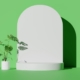 a plant in a white vase next to a green wall