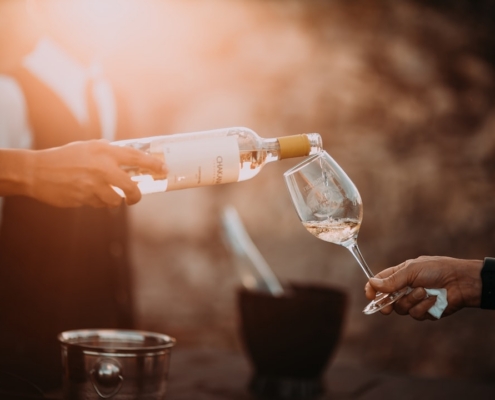 person holding wine glass bottle