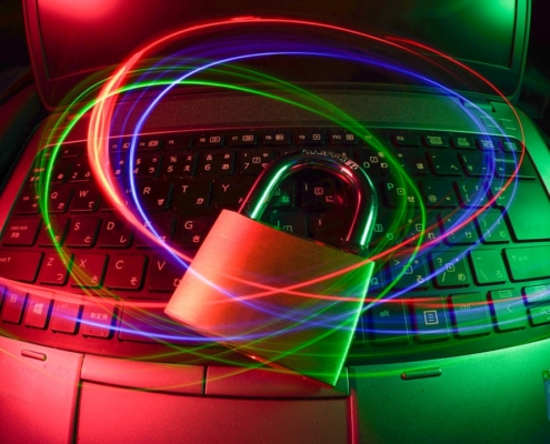 purple and pink light illustration