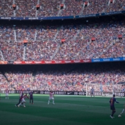 soccer field