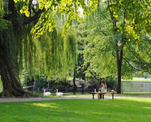 woman sitting on bench