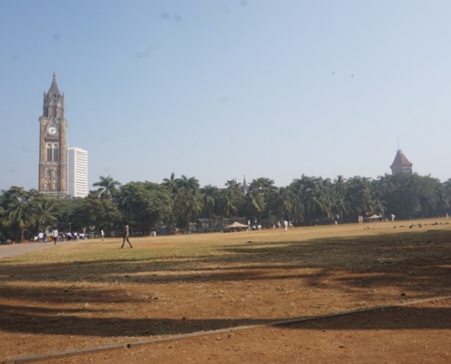 A large clock tower towering over a lush green park