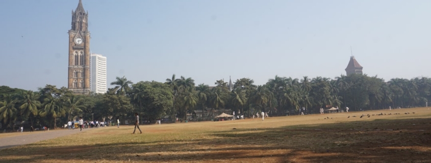 A large clock tower towering over a lush green park