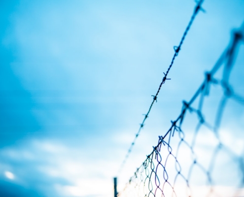 barbed wire