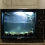 black aquarium