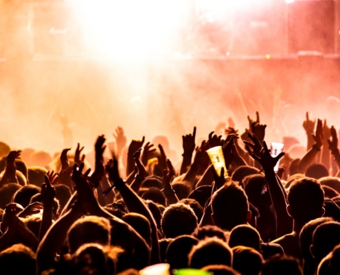 people raising their hands on concert