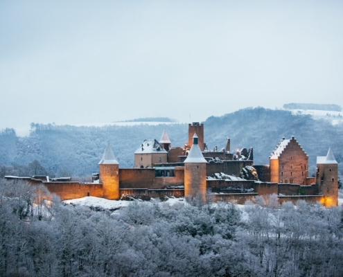 photo of gray concrete castle surrounded by trees