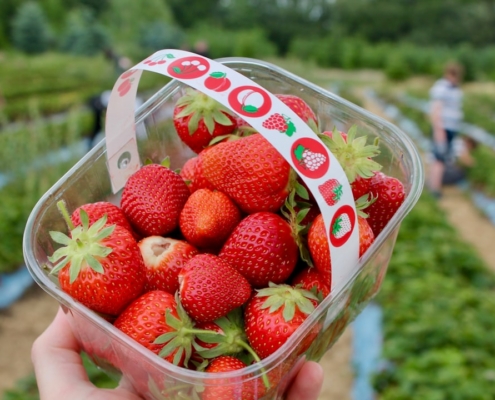 strawberries in clear glass bowl