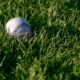 white baseball on green grass during daytime