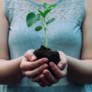 woman holding green leafed seedling