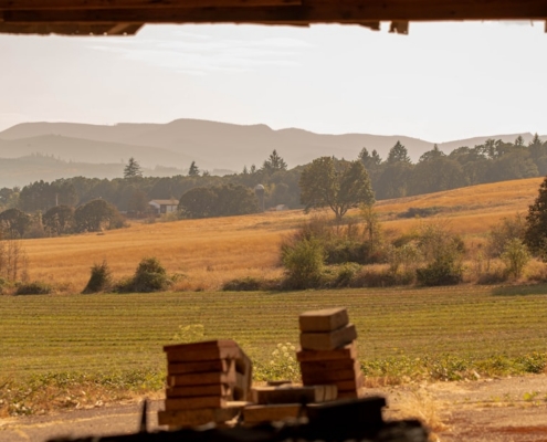 a bench in a field