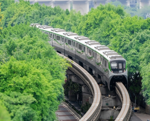 A modern monorail train travels through a lush green forest.