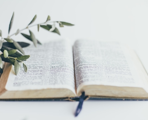 green plant on white book page