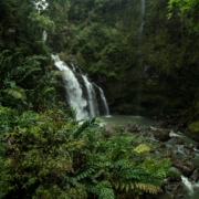 time lapse photography of falls in the jungle