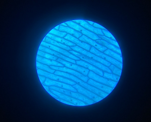 a blue planet in space