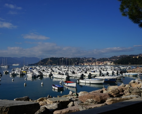 a bunch of boats that are in the water