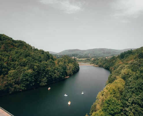 a river with trees on the side