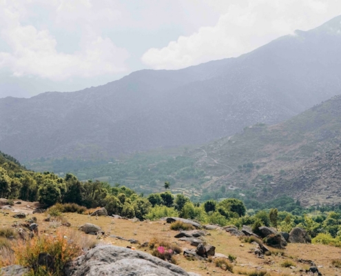 a rocky area with trees and mountains in the background