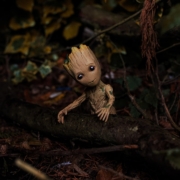a small baby groote sitting on a log in the woods
