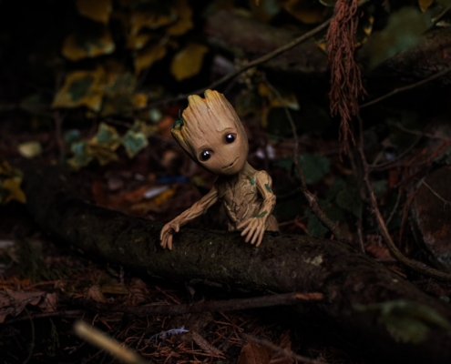 a small baby groote sitting on a log in the woods