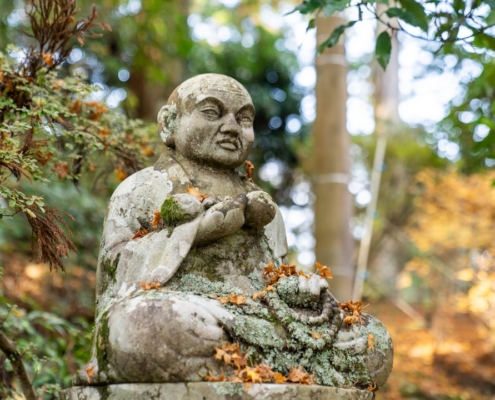 a statue of a man sitting in the middle of a forest