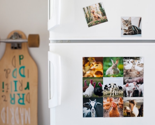 a white refrigerator with pictures of animals on it