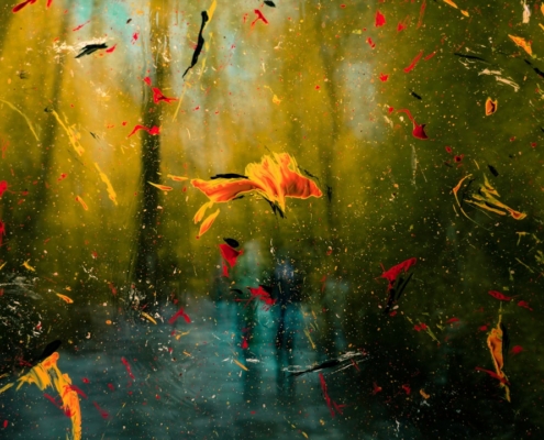 brown leaves on water during daytime