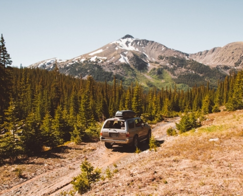 gray SUV running along brown sand path through forest