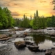 green pine trees beside river during daytime