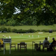people sitting on chair on green grass field during daytime