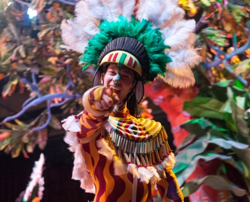 shallow focus photography of in brown costume