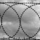 a black and white photo of a barbed wire fence