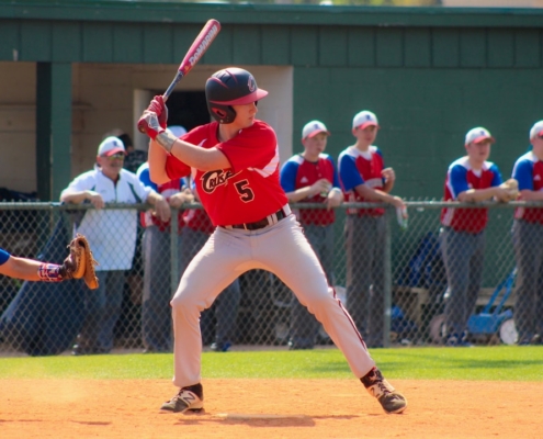 baseball playing posing to hit ball