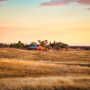 shed in the middle of field