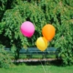 yellow pink and orange balloons